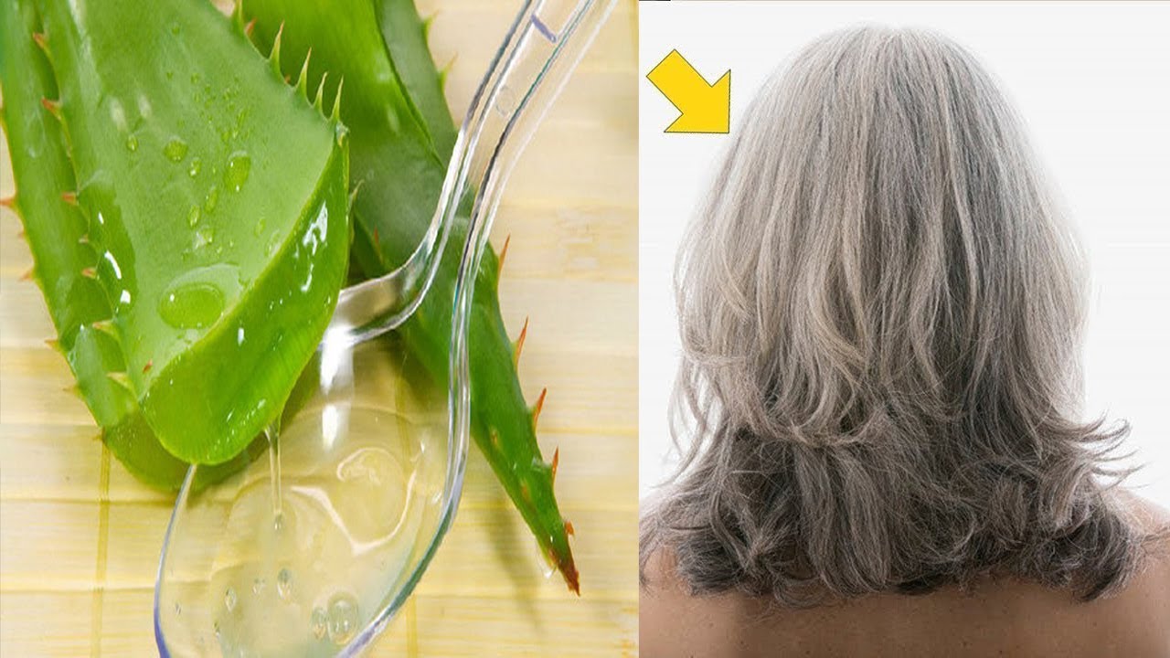 Cách dưỡng tóc bằng nha đam tại nhà cho tóc khỏe tự nhiên