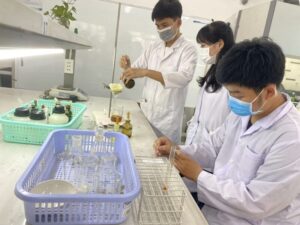 Tìm hiểu kỹ điều kiện tuyển sinh, thời gian đào tạo và học phí là những bước quan trọng trước khi đăng ký học Văn bằng 2 ngành Dược